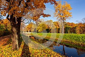 Obvodny canal in autumn in Alexander park, Tsarskoe Selo (Pushkin), Saint Petersburg, Russia