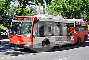 OC Transpo Bus in downtown Ottawa