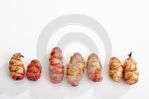 Oca tubers photo