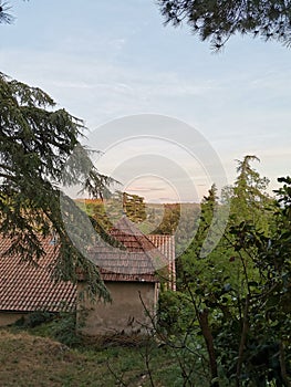 occitanie dovecote surrounded by trees