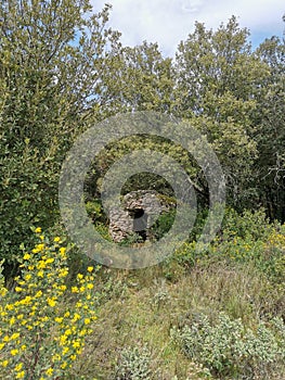 occitanie round capitelle in the scrubland