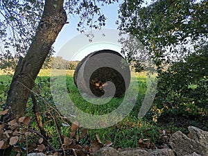 occitanie straw roll in a meadow