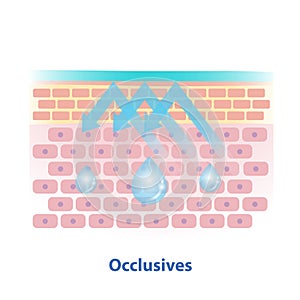 Occlusives, type of moisturizer vector illustration isolated on white background.