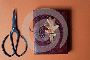 Occult book of spells and vintage scissors on orange fall color minimalistic background