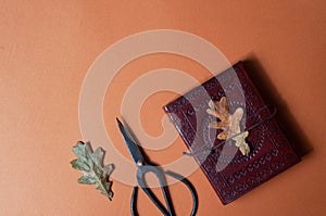Occult book of spells and vintage scissors on orange fall color minimalistic background