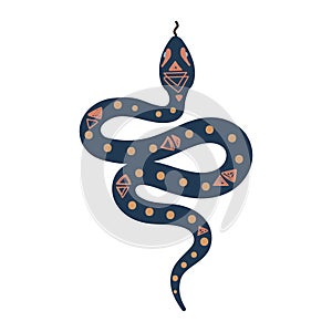 Occult snake symbol vector illustration.