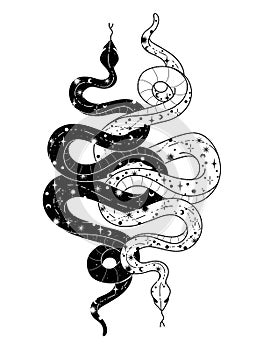 Occult trendy hand drawn illustration with snake, moon and stars.