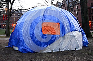 Occupy harvard university