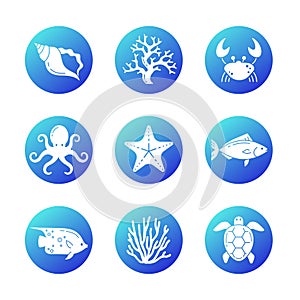 Marine Life Icons Set. White Background