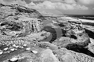 Ocean against the cliffs housing gannet colonies in Muriwai Beach