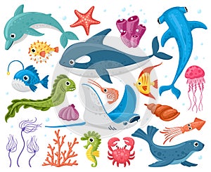 Ocean animals. Cartoon marine wildlife creatures, orca, stingray, crab and dolphin. Cute sea animals characters vector