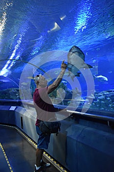 Ocean aquarium. Pic2 photo
