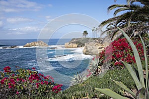 An ocean bay, with cliffs, flower, palm and aloe vera photo