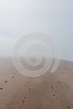 Ocean beach in dense fog with footprints on sand