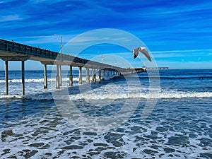 ocean beach pier in San Diego