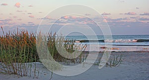 Ocean beach with sea oats at sunset. photo