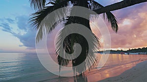 Ocean beach sunrise. Caribbean coast with palm tree leaf in waving turquoise water