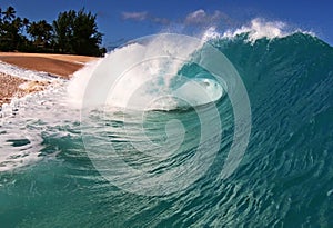 Ocean Beach Wave on the Shore in Hawaii