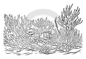 Ocean bottom coloring page with fish and algae. Sea life coloring book