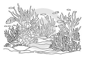 Ocean bottom coloring page with fish and algae. Sea life coloring book