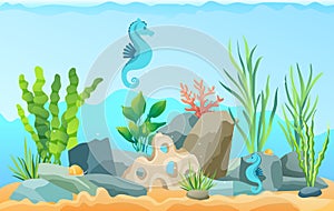 Ocean bottom, seabed with marine plants and animals. Underwater world with sea horses and seaweed