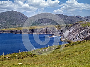 Ocean,cliffs and mountains,it`s Beara Peninsula