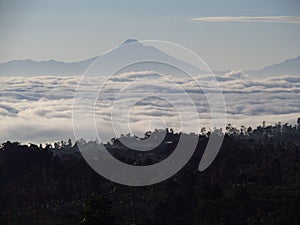 Ocean of clouds at Temanggung Central Java Indonesia