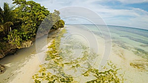 The ocean coast with beautiful coral reefs and views. Aerial view.