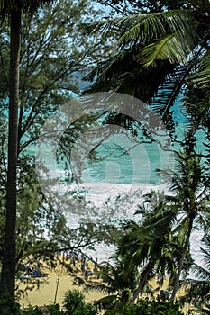 Ocean coast through the branches. Nature of Phuket, Thailand.