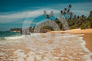 Ocean Coast with coconut palm trees. Tropical vacation, holiday background. Soft wave on wild deserted untouched beach. Paradise i