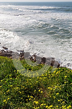 Ocean coast with grass, moviment waves with foam. photo