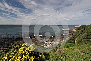 Ocean and coast landscape in Hermanus, South Africa