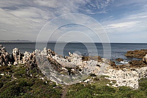 Ocean and coast landscape in Hermanus, South Africa