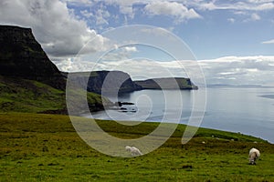 ocean coast at Neist point lighthouse with sheep, Scotland