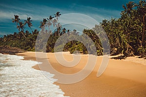 Ocean Coast with pandanus and coconut palm trees. Tropical vacation, holiday background. Wild deserted untouched beach. Paradise i