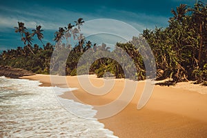 Ocean Coast with pandanus and coconut palm trees. Tropical vacation, jungle on background. Wild deserted untouched beach. Paradise