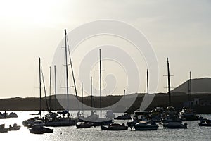 Ocean Coast's View las galletas photo