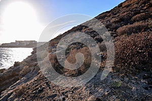 Ocean Coast's View Montana Amarilla Tenerife photo