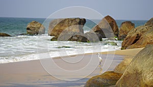 Ocean coast with waves and rocks