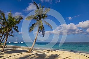 Ocean coast of Zanzibar island. Village Kendwa. Tanzania. Africa