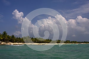 Ocean coastline palm and tree in dominicana photo