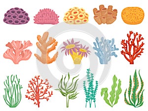 Ocean coral. Seaweeds and sea plant creatures, marine kelp. Underwater reef flora, corals and algae vector cartoon