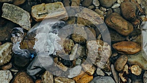 Ocean disaster. Large dead jellyfish Rhizostoma pulmo washed ashore with plastic bottles at pebble beach. Close-up, top