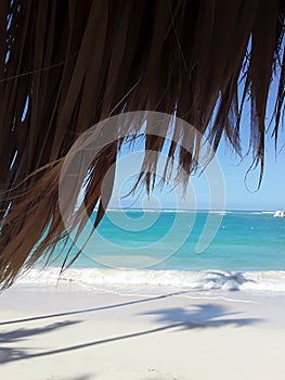 ocean   dominicana   travÃÂ©s   palma   hut   shadow   photo