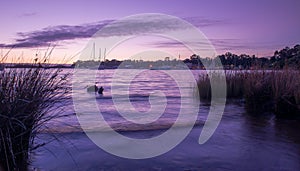 The ocean at dusk with sailboats