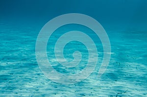 Ocean Floor underwater