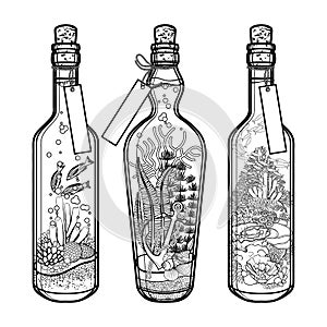 Ocean flora and fauna in bottles.