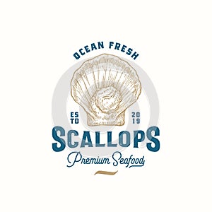 Ocean Fresh Scallops Abstract Vector Sign, Symbol or Logo Template. Hand Drawn Scallop Mollusc Sketch Illustration with