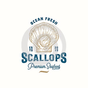 Ocean Fresh Scallops Abstract Vector Sign, Symbol or Logo Template. Hand Drawn Scallop Mollusc Sketch Illustration with photo