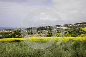 Ocean front properties seen from hiking trail Crystal Cove California